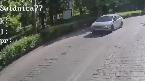 10000000_2963515673735058_448832109194658033_n