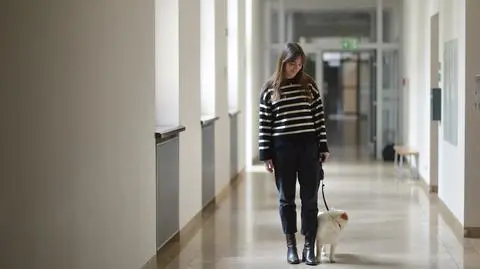 Wrocławski uniwersytet wpuści zwierzęta. Wychodzi na przeciw potrzebom pracowników i studentów