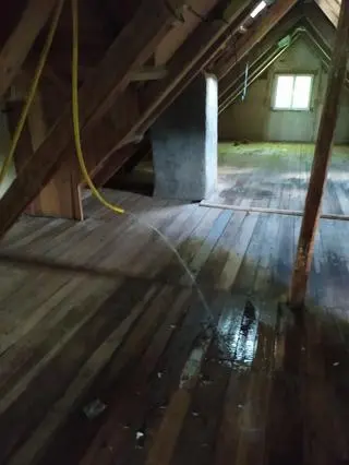 Jeden wąż poprowadzony był aż na poddasze