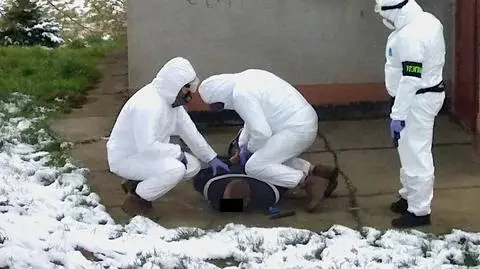 Plantacja narkotyków w piwnicy. Zatrzymany podejrzany o udział w gangu pseudokibiców