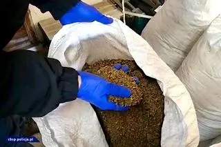 Fabryka mogła produkować nawet milion papierosów na dobę