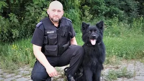 Spowodowała stłuczkę i uciekła. Policjanci mieli Nosa, kobietę znaleźli w krzakach