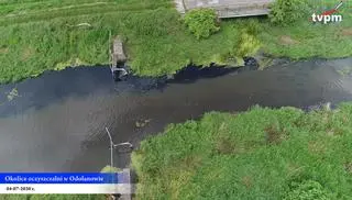 Okolice oczyszczalni w Odolanowie
