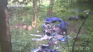 Zachowanie mężczyzn uwieczniła fotopułapka 