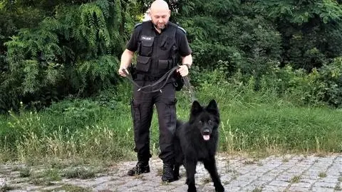 Nos złapał trop i odnalazł starszego mężczyznę. 84-latek wpadł do piwnicy i nie mógł się ruszać