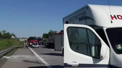 2020_06_02_LEGNICA_Konie