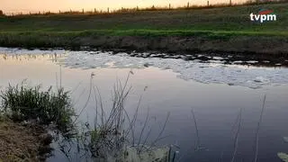 Nieczystości w Baryczy