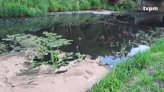 Nieczystości w Baryczy