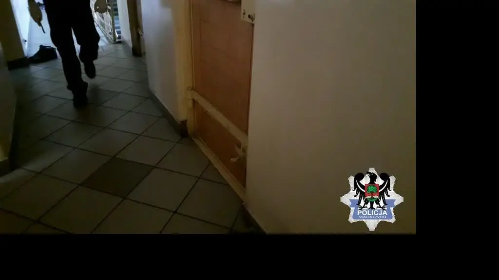 znecanie sie nad psem bg