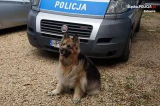 Kora po 10 latach służby w policji przechodzi na emeryturę