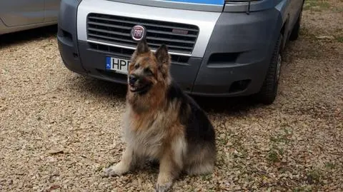 Kora po 10 latach służby w policji przechodzi na emeryturę