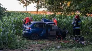 Rozbite auto stało w polu kukurydzy