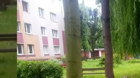 Video_20200605090212256_by_VideoMaker