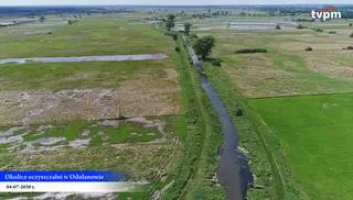 Okolice oczyszczalni w Odolanowie
