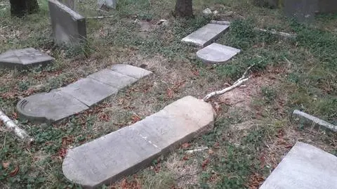 Poprzewracane macewy na żydowskim cmentarzu