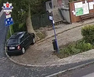 Zasłabł w trakcie jazdy i uderzył w drzewo. Kierowca zmarł w szpitalu