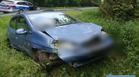 "Stracił panowanie nad autem, wjechał do rowu i uderzył w drzewo". Był pijany 