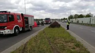 Na pasie zieleni widać ślady kół
