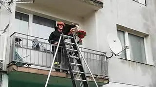 Ukochana powiedziała "tak"