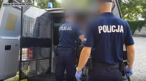 Potrącenie 2,5-letniego chłopca, zarzuty dla kierowcy. "Twierdzi, że do wypadku nie doprowadził"