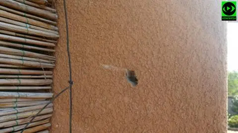 Zniszczona elewacja domu mieszkańca dolnośląskich Psar. Sprawą zajmuje się policja