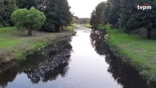 Nieczystości w Baryczy