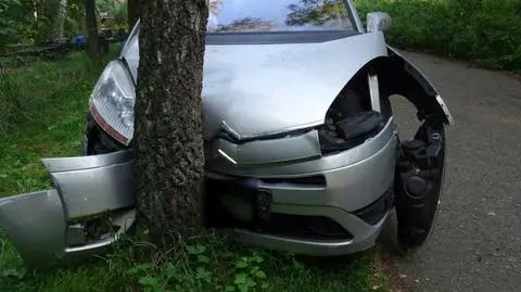 Wiozła czwórkę dzieci, uderzyła w drzewo. "Z przodu siedział ośmiolatek, na kolanach trzymał 2,5-letnią siostrę"