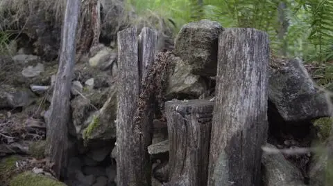 Rozkopana leśna skrytka. "Mogły być tam ukryte kosztowności z pałacu Schloss Cammerau"