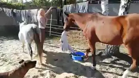Egist pomagał wieszać pranie
