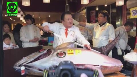 637 tys. dolarów za tuńczyka na słynnej aukcji w Tokio (wideo od zachariaszpopiolek)