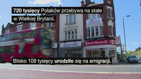 Brytyjski socjal nie dla imigrantów. Zobacz, co stracą Polacy na Wyspach