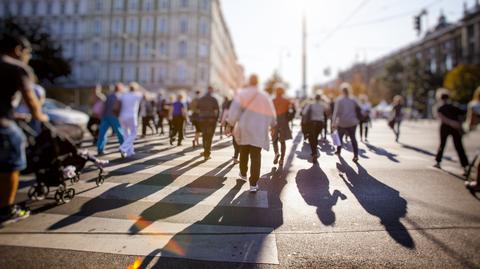 Podrabiali dowody i zaciągali pożyczki na zakup elektroniki. Blisko 500 zarzutów dla organizatora procederu