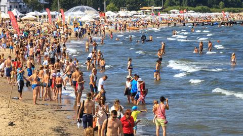 Pracownicy sezonowi pilnie poszukiwani. Ofert zatrudnienia "ciągle jest bardzo dużo"