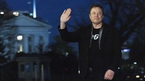 Elon Musk o DOGE na posiedzeniu gabinetu Donalda Trumpa