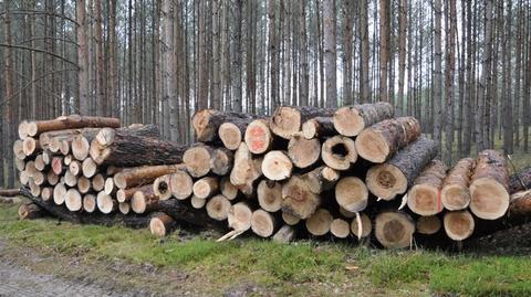 Lasy Państwowe