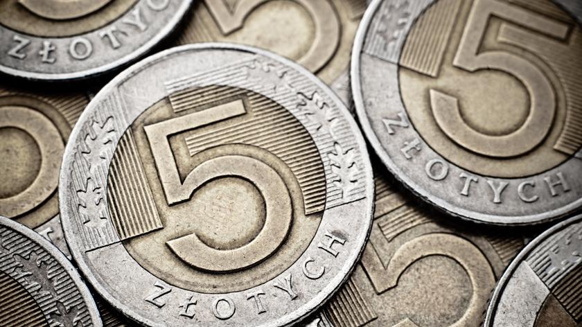 Euro i dolar w górę. Maciej Samcik o notowaniach złotego oraz decyzji RPP