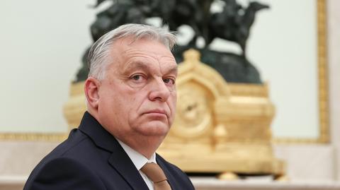 "Nie jestem pewien, czy Fidesz odda władzę". Politolog o nadchodzących wyborach