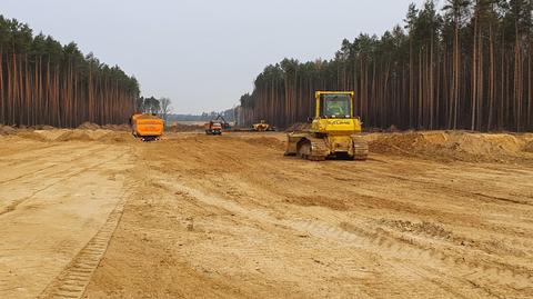 Ponad 50 tysięcy przekroczeń prędkości na A1