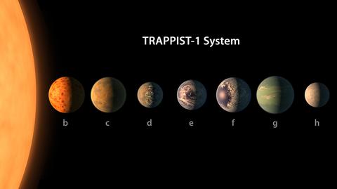 23.02.2017 | Przełomowe odkrycie NASA. "Zaskakująco podobne do Ziemi"