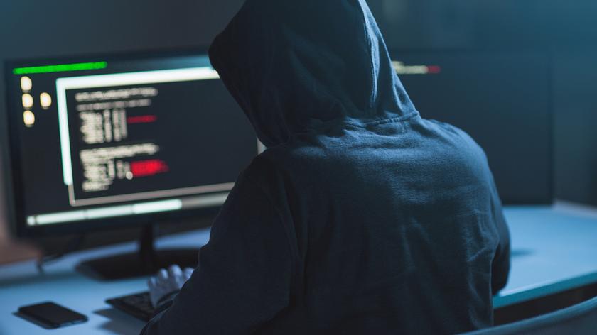 Analityczka o oszustwach internetowych i działaniach hakerów