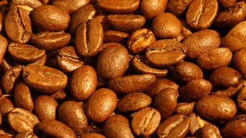 Aromatyczna kawa Arabica zniknie z naszych stołów? Winne zmiany klimatu