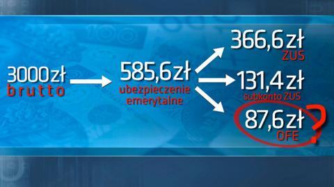 OFE czy ZUS? Sprawdź różnice