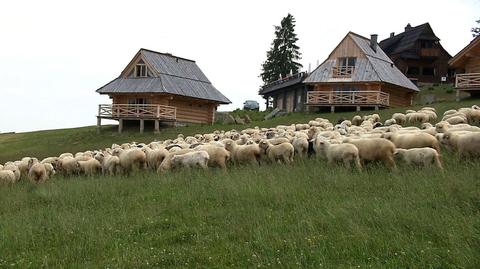 Szałas pasterski. Dla kogo i za ile?