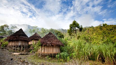 Ile kosztuje podróż do Papui-Nowej Gwinei?