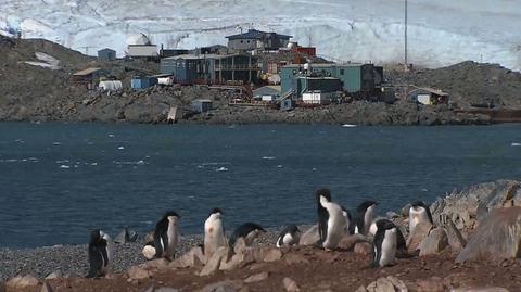 Antarktyda zmienia się niemal z dnia na dzień