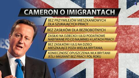 Imigranci w ogniu brytyjskiej kampanii. Cios od premiera Camerona?