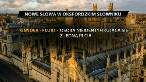 Yolo, moobs, cheeseball trafiły do słownika. Wiesz co oznaczają?