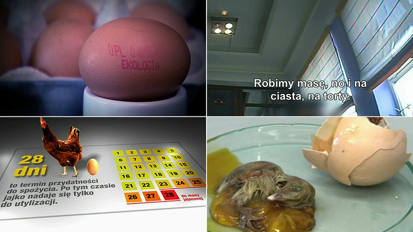 Ekspert o przeterminowanych jajkach i zagrożeniu dla zdrowia