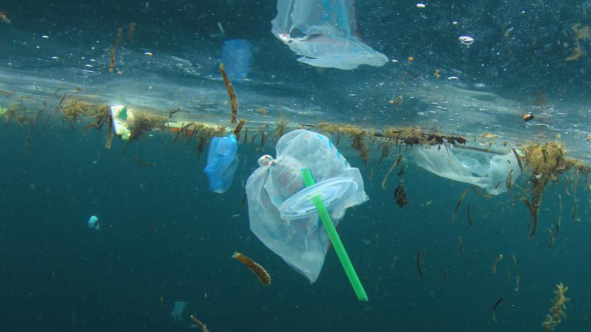 Unia Europejska wypowiada wojnę plastikowi