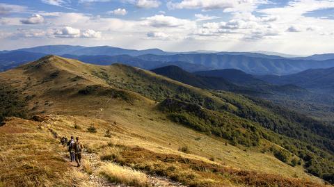 "Dzicz, natura i śpiew ptaków". Przewodnik po Bieszczadach